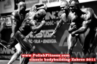 classic bodybuilding ZABRZE 2011